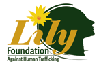 Lily foundation